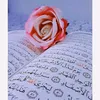 om__noor18