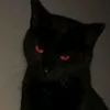dead.cat2.01
