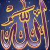 rakiaalsaed