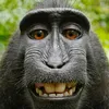 username1028204