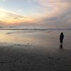 andrea_saal