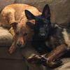 mad_max_the_gsd