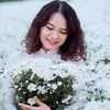 Tran Le Hoa