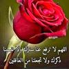 mohammedgibreel47gmail.c