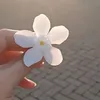 كوكايه