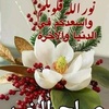 abudllah_0046