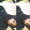 qwssay3