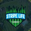 stripelifecanada