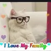 usermfxjqwcxy1