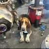 redsunireland