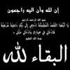 خلك شايب