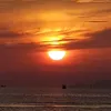 nguyenthanhlong150876