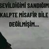 sezencetin6