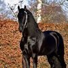 murtaza7m_