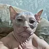 javiermf99
