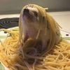 om.nom.nom.nom