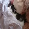lin_da573