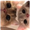 yourbee_m