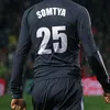 mich.swat