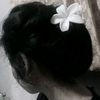 niasepty07