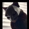 stoprunning12_woo.lotti