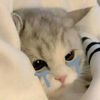 haalah226