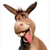 donkey7234