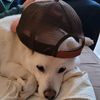 roo_badley