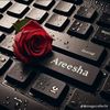 areeshachoudhry
