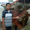 malik_rizwan7862
