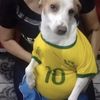 larinha_b