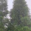 bindu_rai