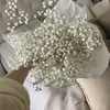 snownow01