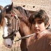 nawabhussainabbaskhandab