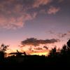 nzmibs_