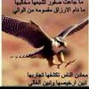 abu_udyi39