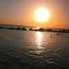 ayoub.obee