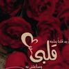 shosho3288
