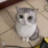 user6pmj7doldg