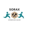 soraxgmbh