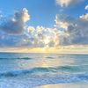 just.meand_thesea