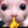 myte4rs_ricochet