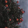 leroytiny