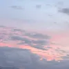 mohalii_37