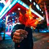 wei_11210