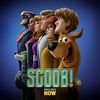 scoobmovie