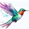 colibri4_21