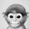 zach_caswell