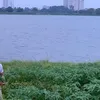 haithuy.dongbich