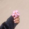 ghdoon1